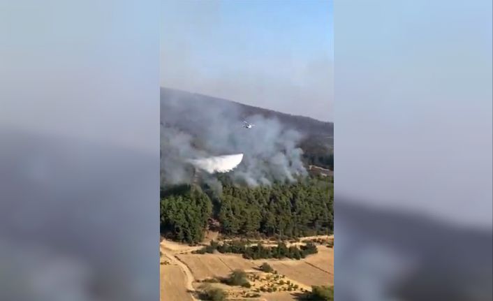 OGM: "Adana İmamoğlu’nda orman dışı alanda başlayan yangını tamamen kontrol altına aldık"