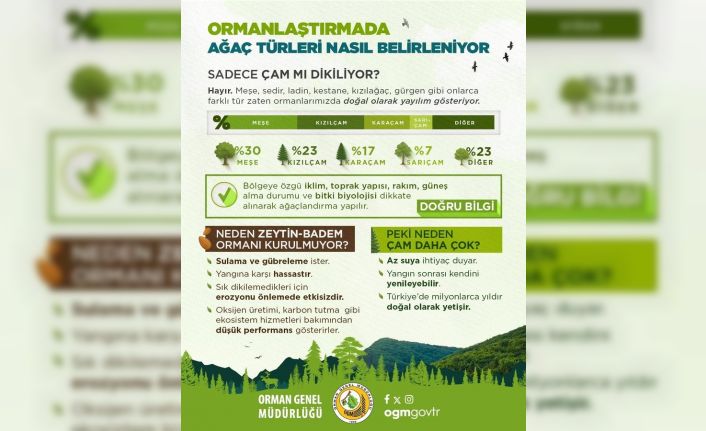 OGM tarafından orman yangınlarından sonra yapılan çalışmalar açıklandı