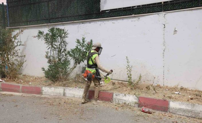 Okul bahçelerinde ot biçme çalışması yapılıyor