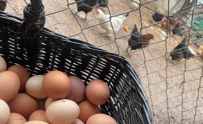 Okulların açılması yumurtayı "Mayıs çukuru"ndan kurtaracak