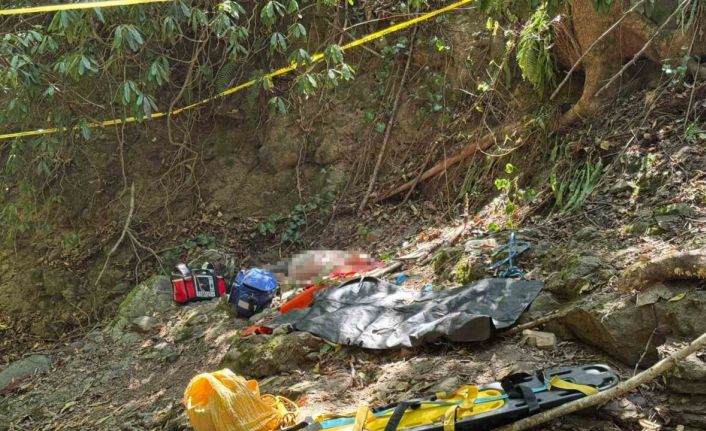 Ordu’da fındık toplarken uçurumdan düşen vatandaş hayatını kaybetti