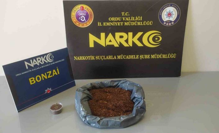 Ordu’da uyuşturucu operasyonlarında 2 tutuklama