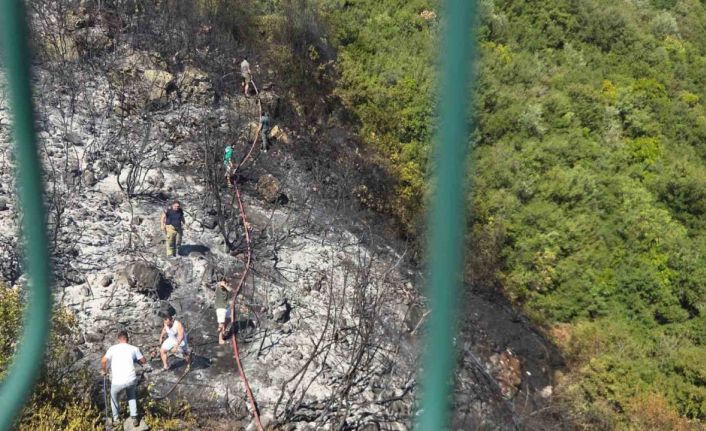 Orhangazi’de orman yangını korkuttu