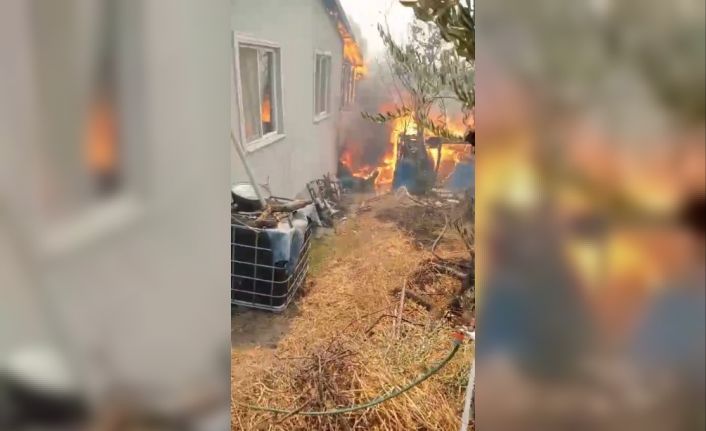 Orman yangını köye indi: "Kaç, artık hiçbir şey yapamayız"