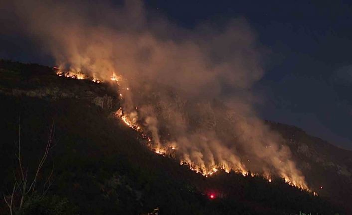 Orman yangınında 9 saat geride kaldı