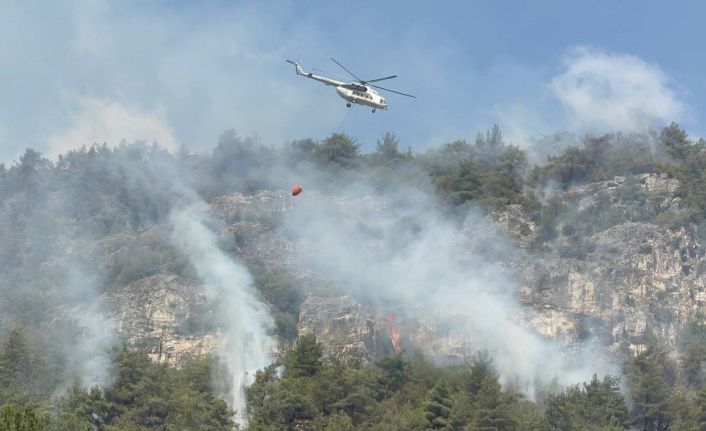 Orman yangınında alevler yeniden etkili olmaya başladı