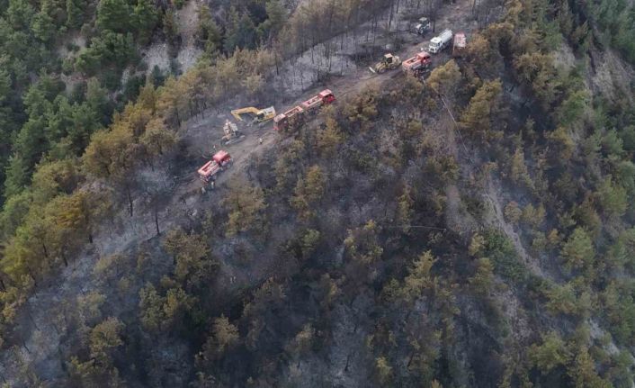 Orman yangınında zarar gören alanlar dronla görüntülendi