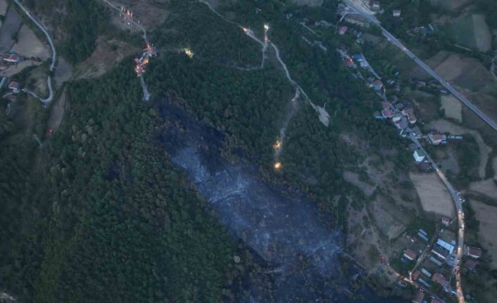 Orman yangınındaki acı tablo havadan görüntülendi