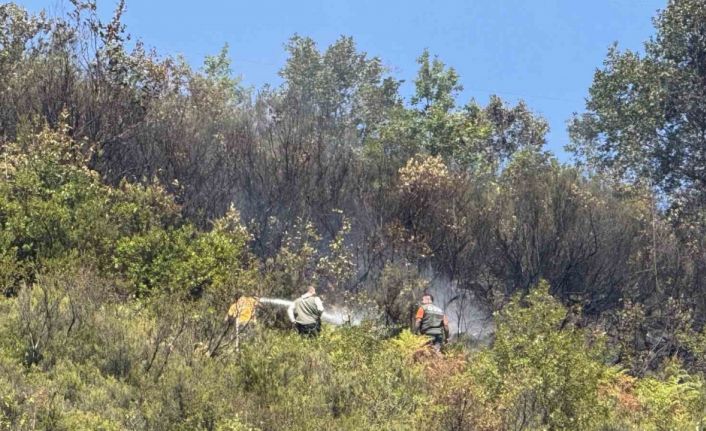 Ormanlık alanda çıkan yangın 2 saatte söndürüldü