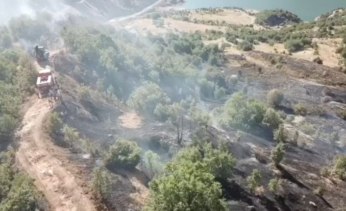 Ormanlık alanda çıkan yangın büyümeden söndürüldü