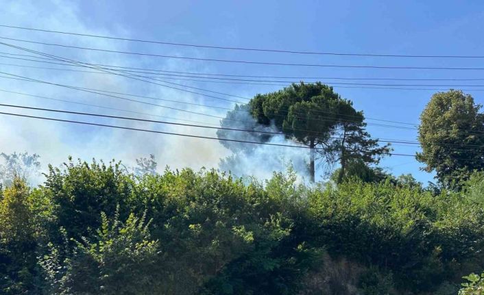 Ormanlık alanda çıkan yangın korkuttu