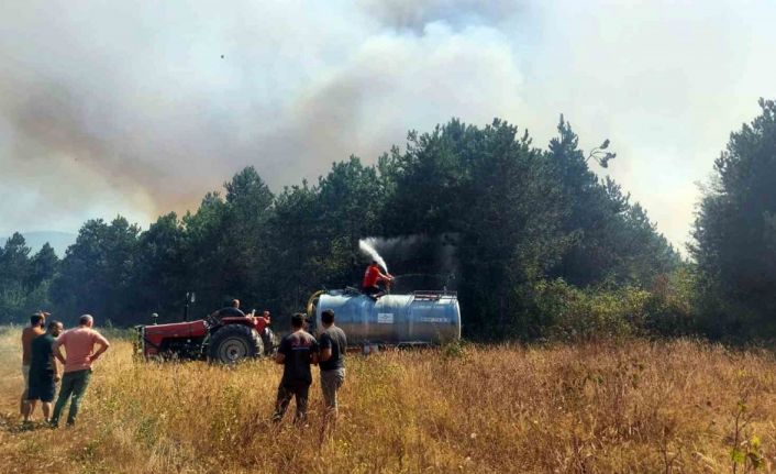 Ormanlık alanda yangın: Çok sayıda ekip sevk edildi
