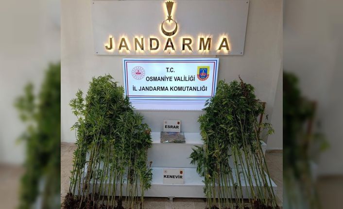 Osmaniye’de bir haftada 121 şüpheli yakalandı