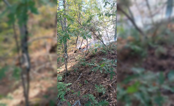 Osmaniye’de çıkan orman yangını büyümeden kontrol altına alındı