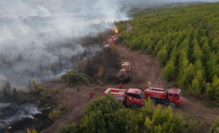 Osmaniye’de çıkan orman yangını söndürüldü