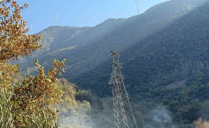 Osmaniye’de orman yangını