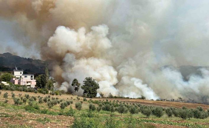 Osmaniye’de ormanlık alanda yangın çıktı