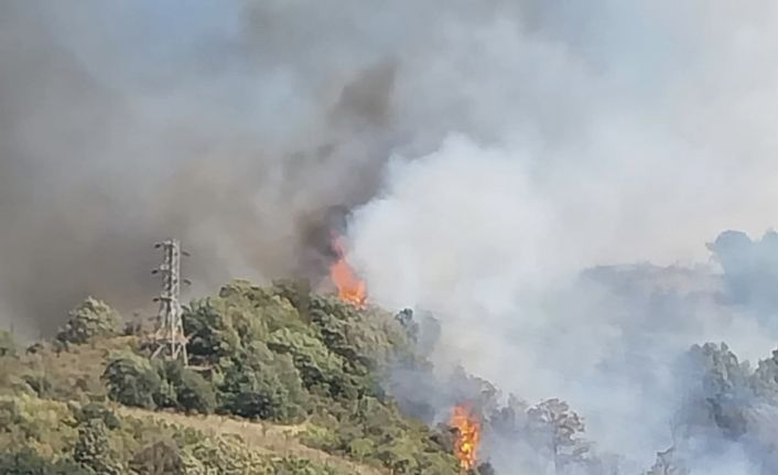 Osmaniye’nin Bahçe ilçesinde ormanlık alanda yangın çıktı