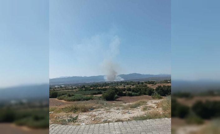 Osmaniye’nin Sumbas ilçesinde orman yangını başladı