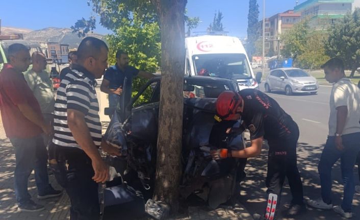 Otomobil ağaca çarptı, sürücü yaralandı