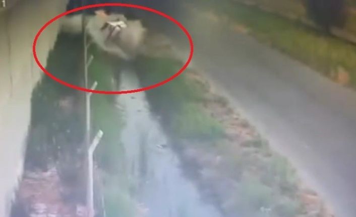 Otomobil sulama kanalına uçtu