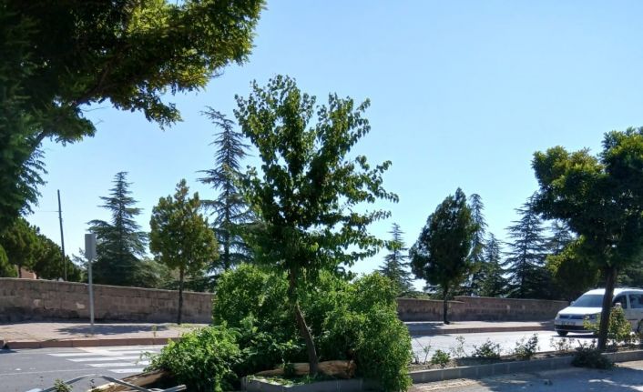 Otomobil takla attı: 1 yaralı