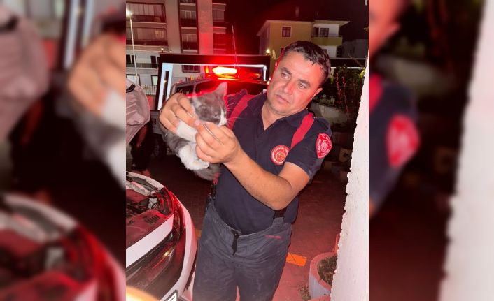 Otomobilin motor kısmına girerek sıkışan yavru kedi ekipleri seferber etti
