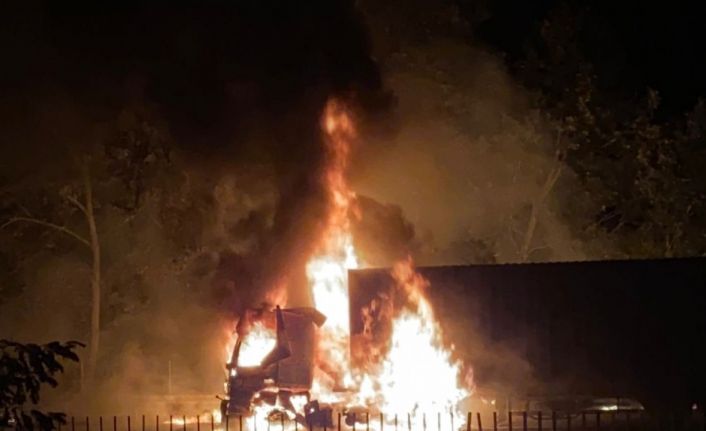 Otoyolda tırdaki yangın ormanlık alana sıçradı