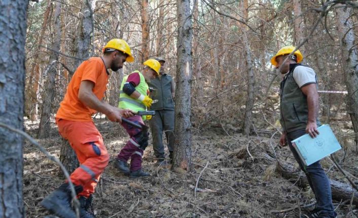 Palandöken’de yangına karşı seferberlik