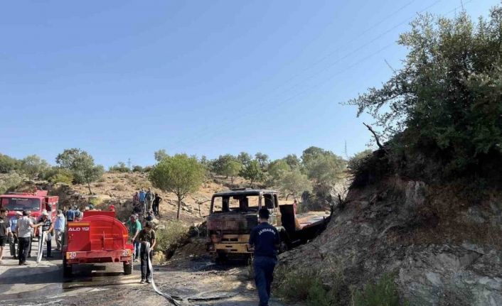 Park halindeki kamyon tamamen yandı