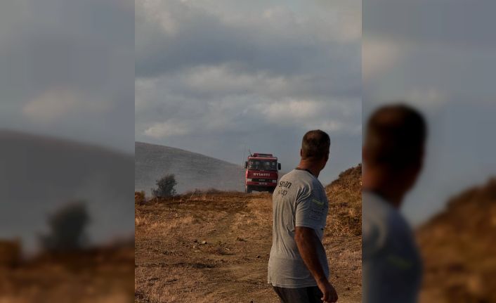 Paşalimanı Adası’nda sabah saatlerinde başlayan yangın rüzgarın etkisi ile yayıldı