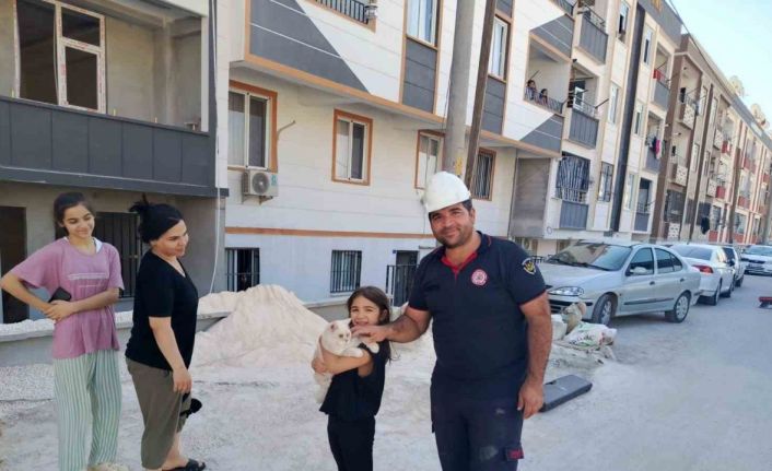 Pencerede mahsur kalan kediyi itfaiye kurtardı