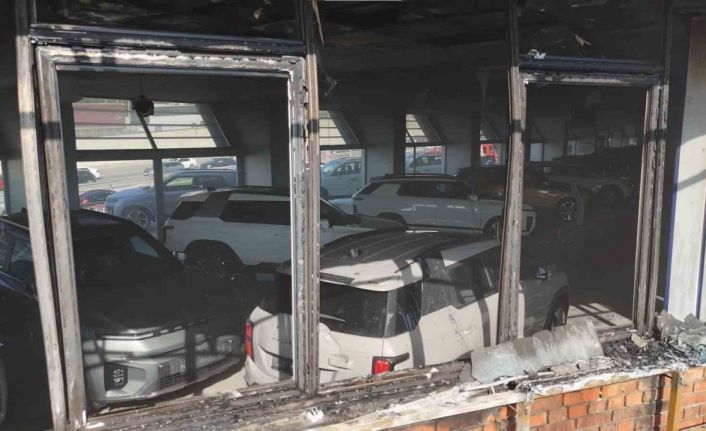 Pendik’te arazi yangını: Milyonluk sıfır araçlar son anda kurtarıldı