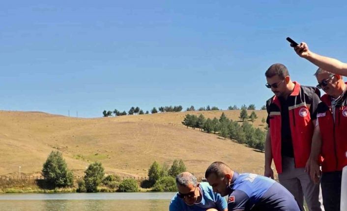 Perşembe Yaylası Göleti’ne 14 bin 240 sazan balığı bırakıldı