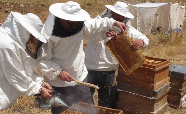 Petekler balla doldu: Sıfır rakımda başlayan sezon 2 bin rakımda Eğriçayır’da sona erdi