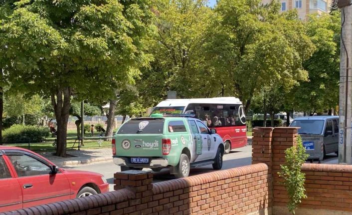 Polis ekipleri kedi ölümleriyle ilgili çalışma başlattı