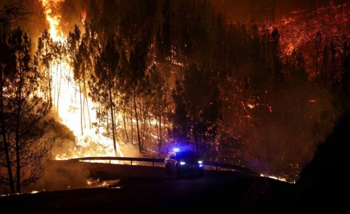 Portekiz’de orman yangınında ölü sayısı 3’e yükseldi