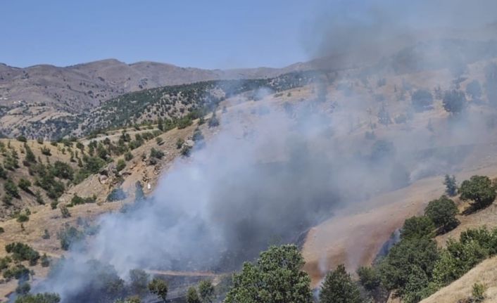 Pütürge’de orman yangını