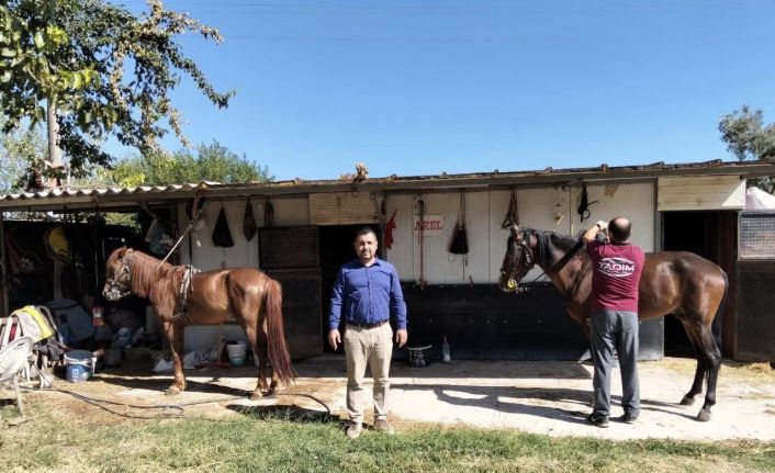 Rahvan atlarına sağlık taraması