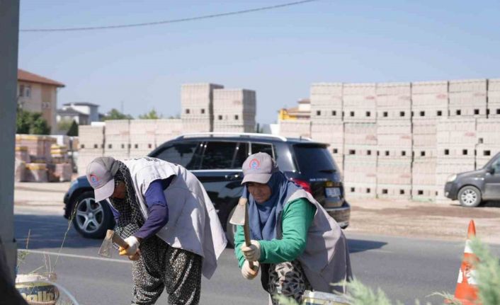 Refüjlerde bakım çalışmaları sürüyor