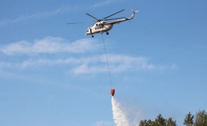 Sakarya’daki orman yangını kontrol altına alındı