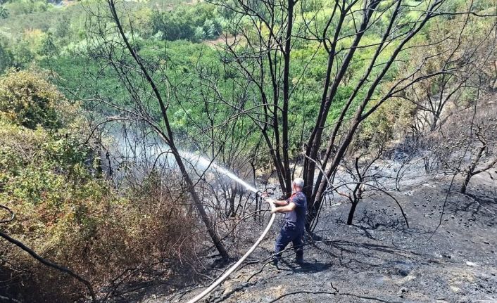Samandağ’da bahçe yangını kısa sürede söndürüldü