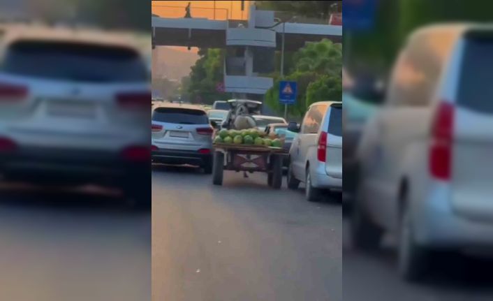 Şam’da karpuz yüklü at arabası trafiği birbirine kattı