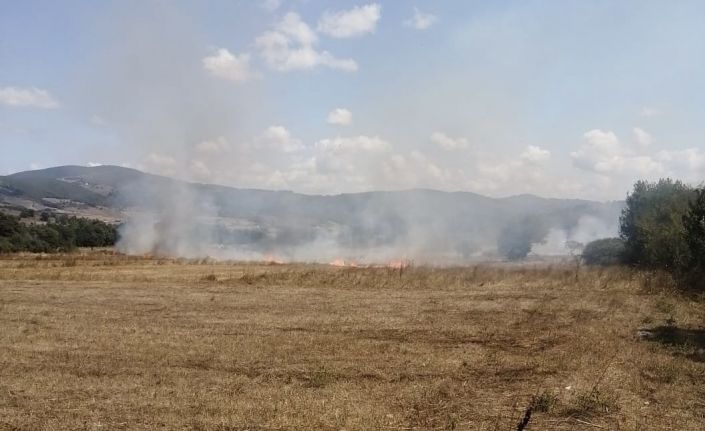 Samsun’da anız yangını ormana sıçramadan söndürüldü