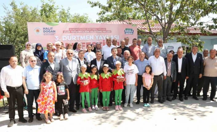 Samsun’da çileğin kalbi Dürtmen Yaylası’nda attı