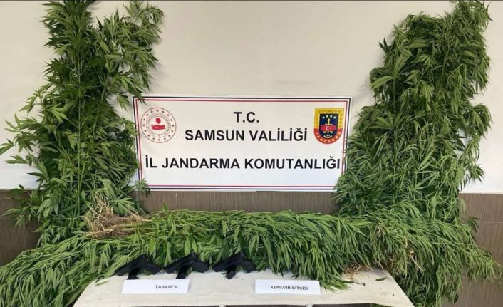 Samsun’da jandarmadan silah ve uyuşturucu operasyonları: 4 gözaltı