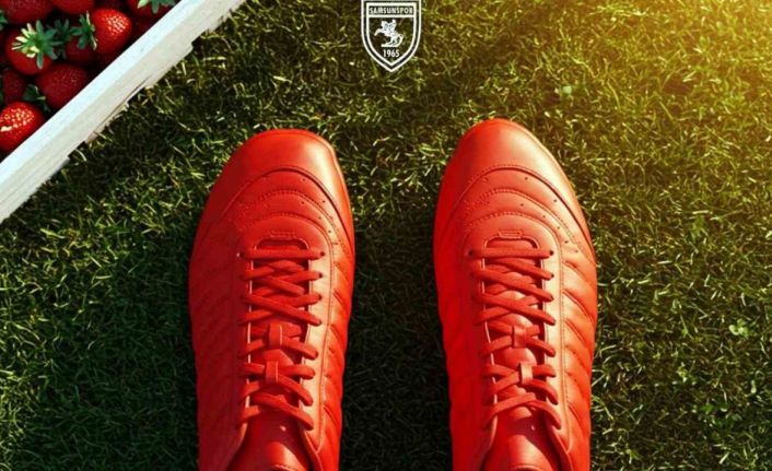 Samsunspor’un kalesi Polonyalı eldivene emanet