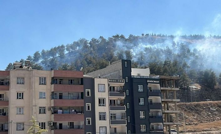 Şanlıurfa’da ağaçlık alanda çıkan yangın söndürüldü
