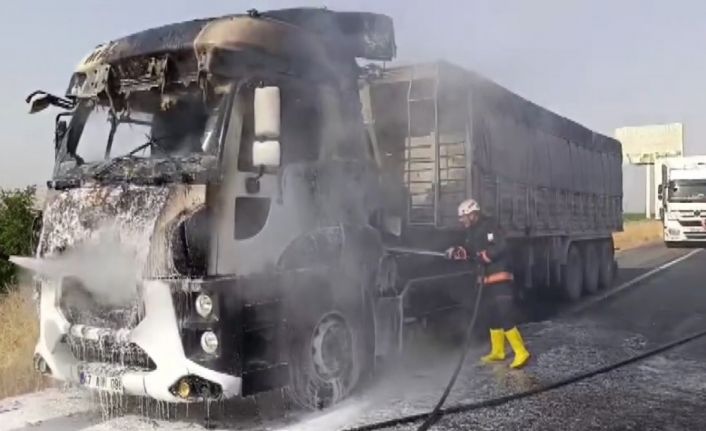 Şanlıurfa’da alev alan tır kullanılamaz hale geldi