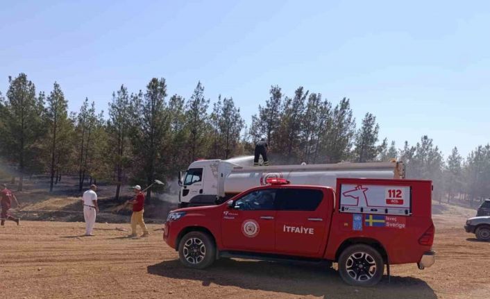 Şanlıurfa’da orman yangını